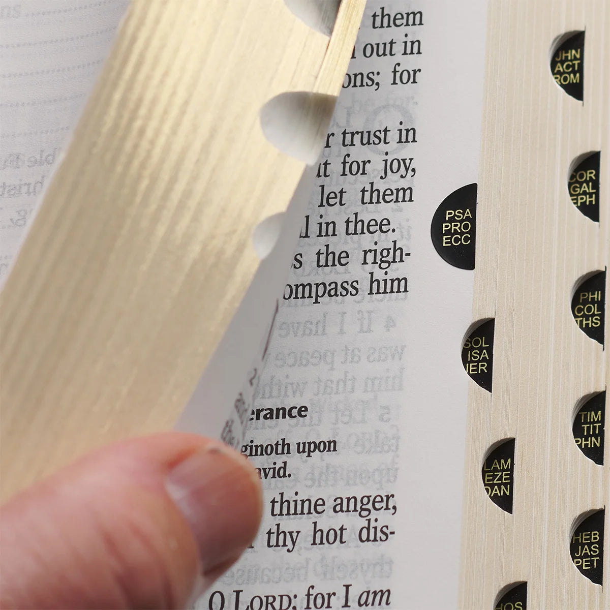 KJV Bible Giant Print Full Size Pink (Large Print) (Hardcover)