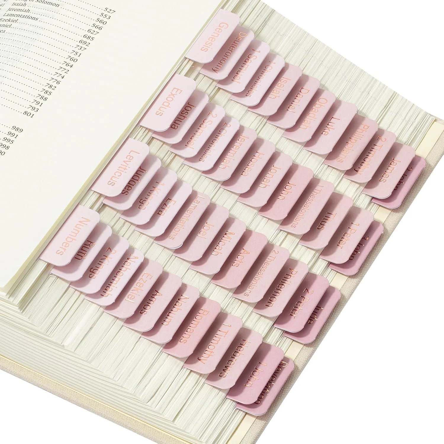 - Bible Tabs, 75 Tabs, Pink Shades, Laminated Bible Tabs for Women and Men