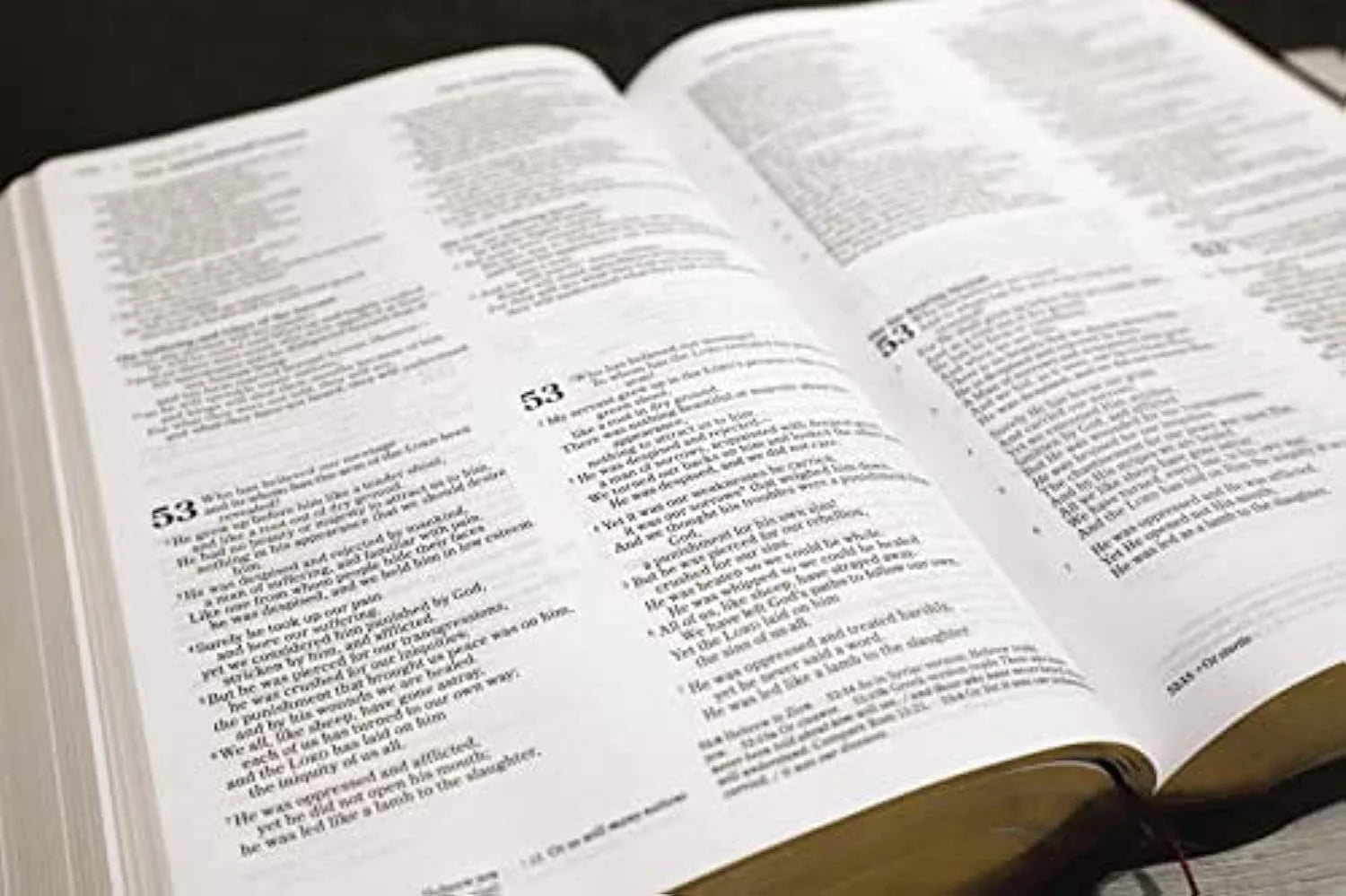 Niv, Nkjv, Nlt, the Message, (Contemporary Comparative) Parallel Bible, Hardcover, (Hardcover)