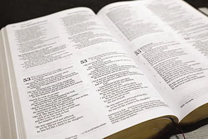 Niv, Nkjv, Nlt, the Message, (Contemporary Comparative) Parallel Bible, Hardcover, (Hardcover)