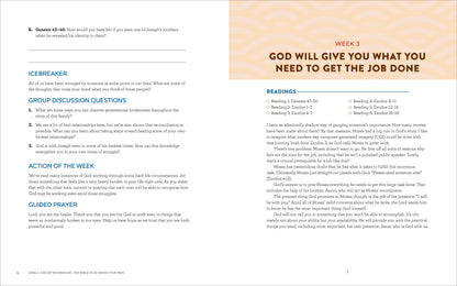 Bible in 52 Weeks Small-Group Workbook: the Bible in 52 Weeks for Men: a Yearlong Bible Study Companion, (Paperback)