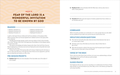 Bible in 52 Weeks Small-Group Workbook: the Bible in 52 Weeks for Men: a Yearlong Bible Study Companion, (Paperback)