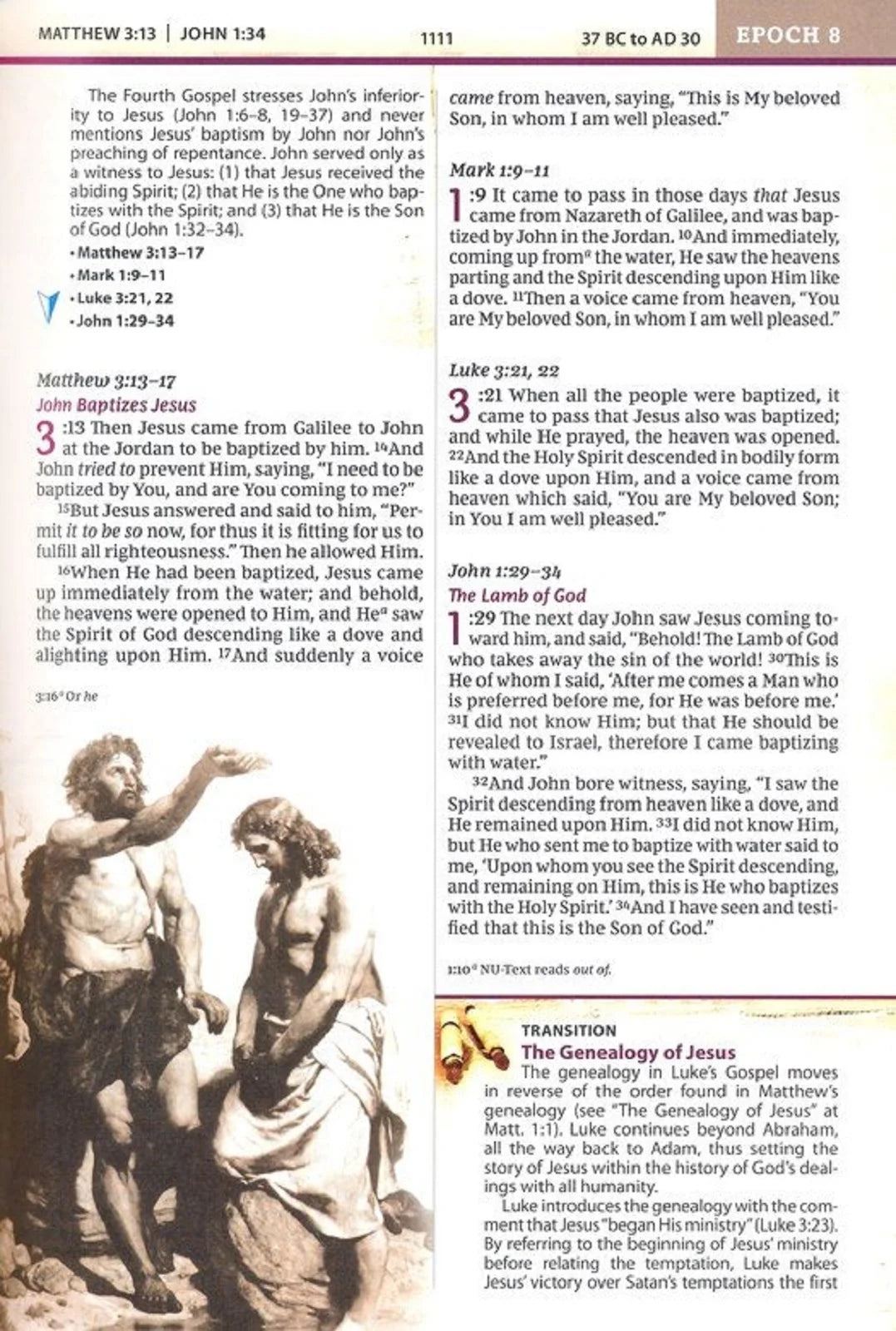 Nkjv, Chronological Study Bible, Hardcover, Comfort Print: Holy Bible, New King James Version, (Hardcover)