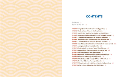 Bible in 52 Weeks Small-Group Workbook: the Bible in 52 Weeks for Men: a Yearlong Bible Study Companion, (Paperback)