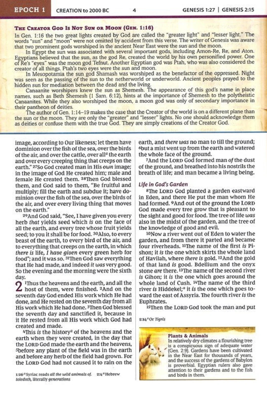 Nkjv, Chronological Study Bible, Hardcover, Comfort Print: Holy Bible, New King James Version, (Hardcover)