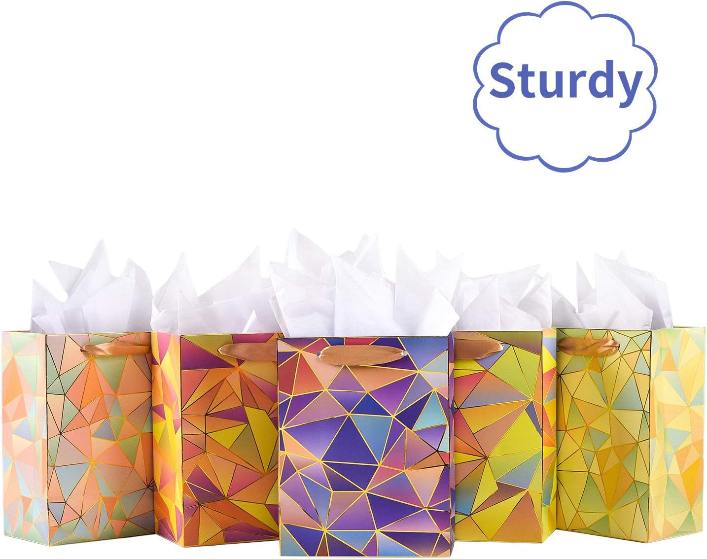 Gift Bags Medium Size Set, 5 Pack Assorted Small Bulk Birthday Gift Wrapping Bag with Tissue Paper for Men Women Girls Baby Bridal Shower Present Bag for Anniversary Party,10 Piece Set