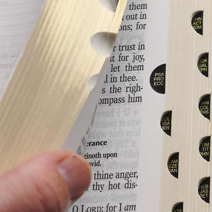 KJV Bible Giant Print Full Size Pink (Large Print) (Hardcover)